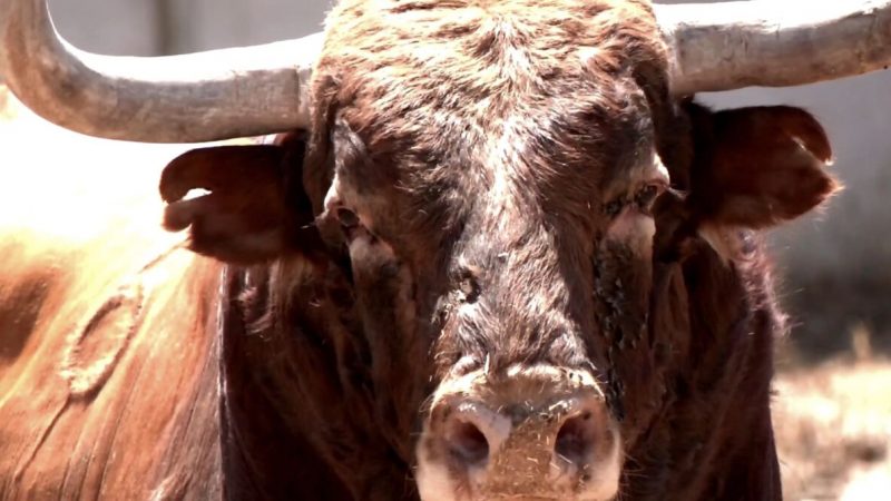 Pedraza de Yeltes, sello y personalidad en El Espinar