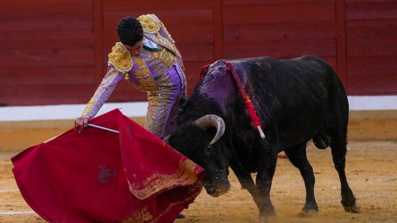 Temple de Castella, impronta de Marco Pérez y entrega de Olga Casado, oreja por coleta en Alcalá